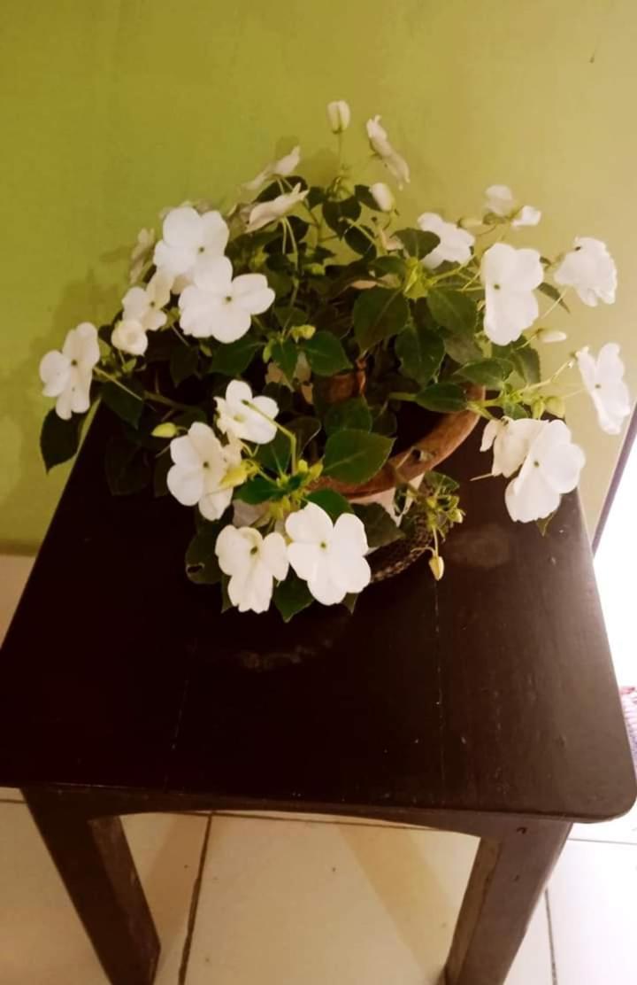 Bhoboghure Santiniketan Apartment *