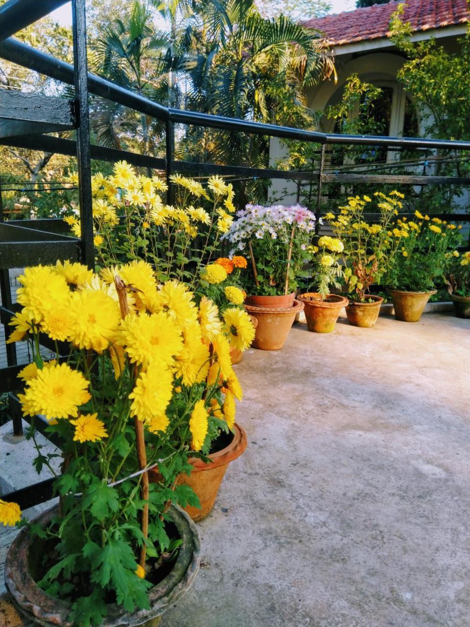 Chaiti Eco Homestay- Santiniketan Homestay *